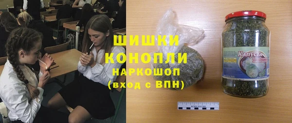 гашик Богородск