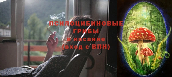 гашик Богородск